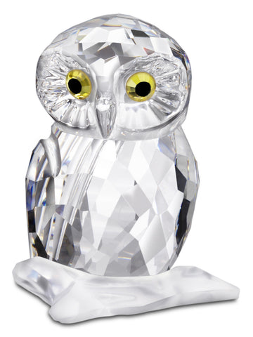 OWL, SMALL