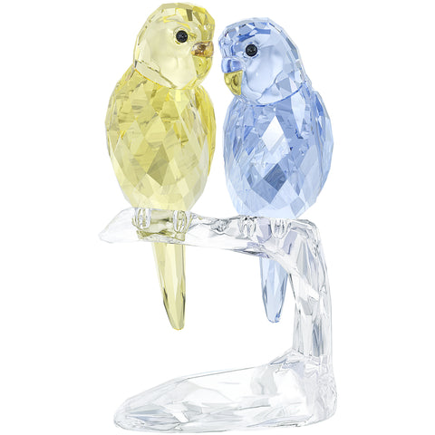 BUDGIES