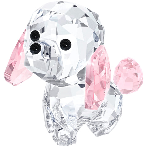 PUPPY-ROSIE THE POODLE