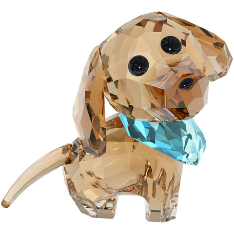 PUPPY-MILO THE DACHSHUND