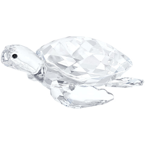 SEA TURTLE